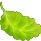 Lettuce