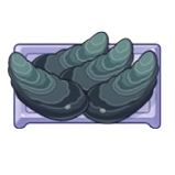 Mussels