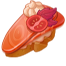 Salmon bruschetta
